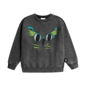grey kids sweatshirt front